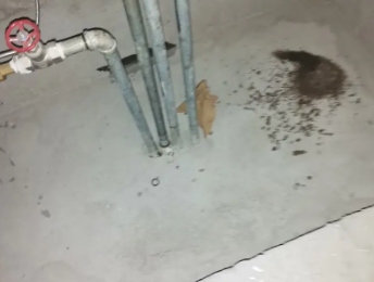 桑珠孜卫生间测漏水价格明细